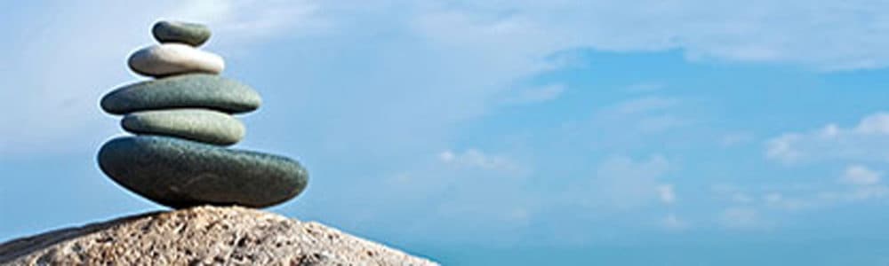 12 Steps to Wellness Program