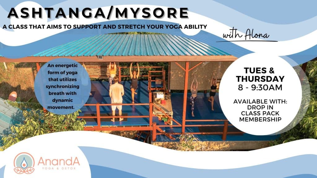 Mysore and Ashtanga Drop-in Classes
