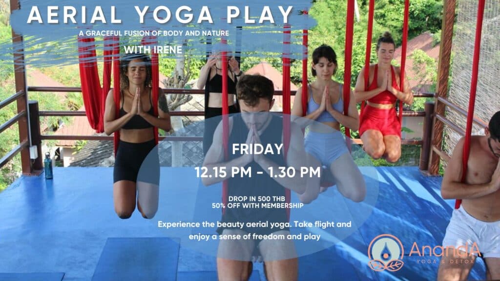 Weekly Workshops - Friday Aerial Yoga Play