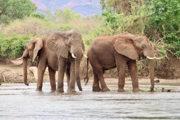 Zambia Yoga Holiday September 2026 1