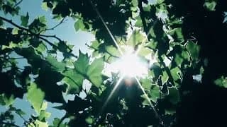 Brahma Kumaris Meditation Retreat