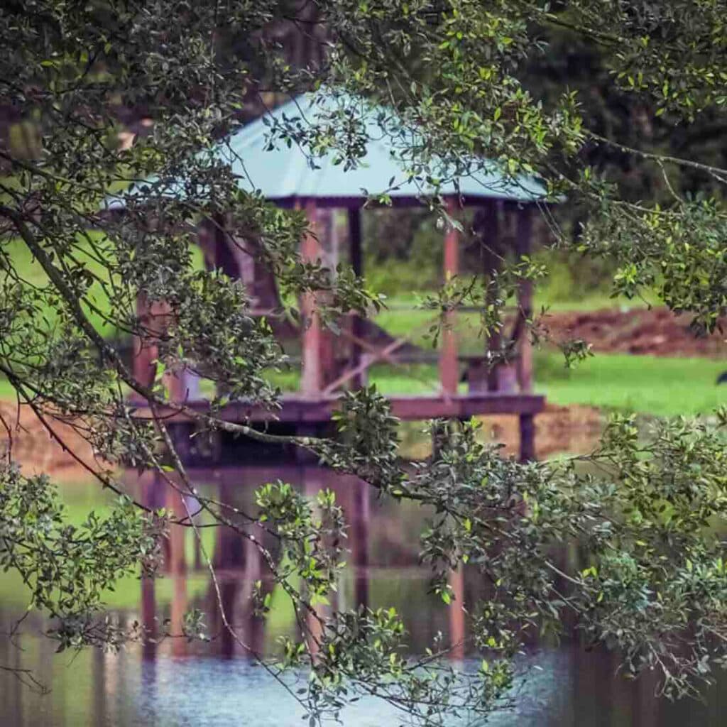 Yoga Retreat Stay at Krishna Village