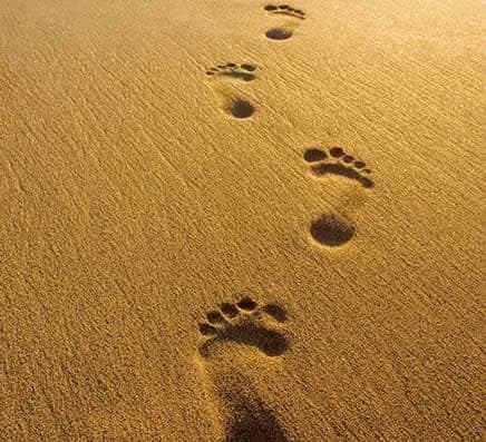 Level 3 Meditation Course - Calm and Concentration 1