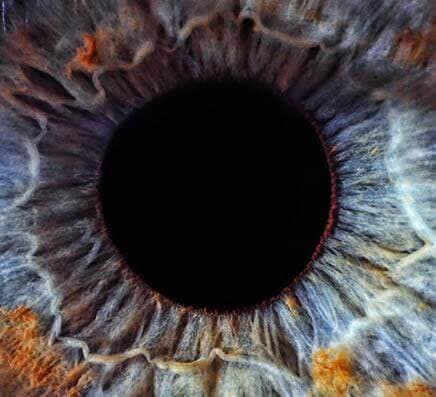 Level 4 Advanced Meditation Course 1