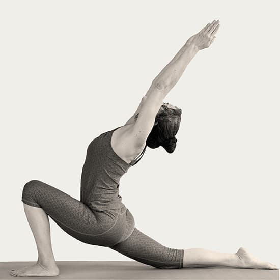 300 Hour Advanced Modules