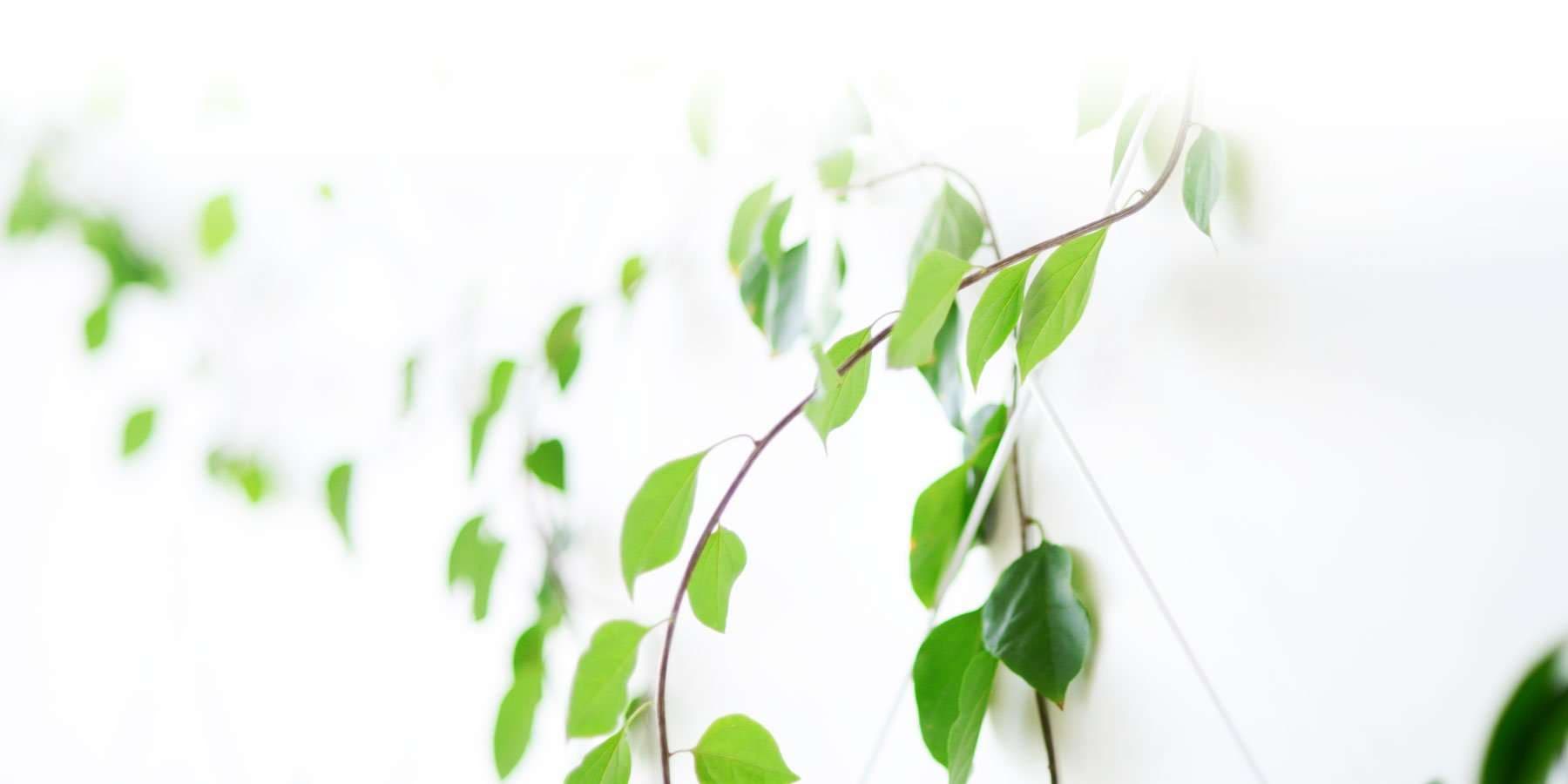 5 Day Meditation Challenge 1