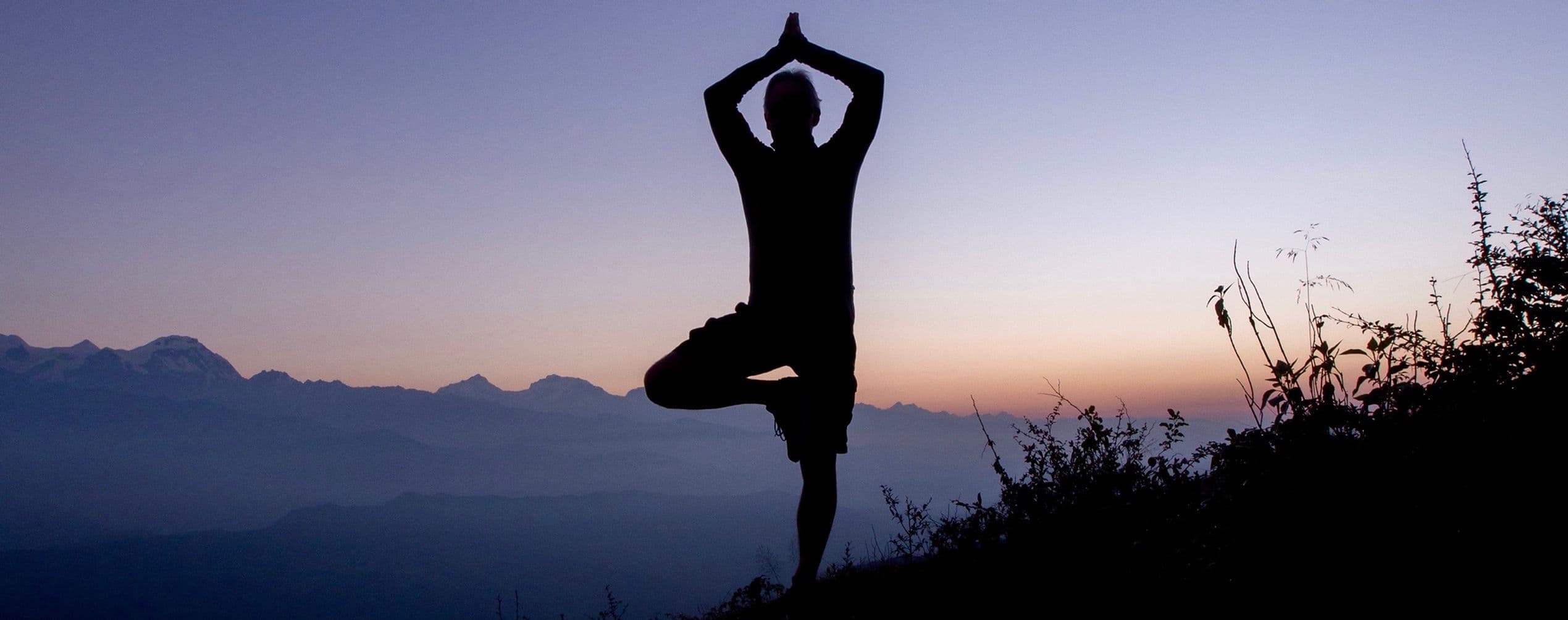 Yoga Pathways to Fitness, Vitality & Peace