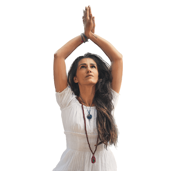 Qi Health & Yoga (Manly)