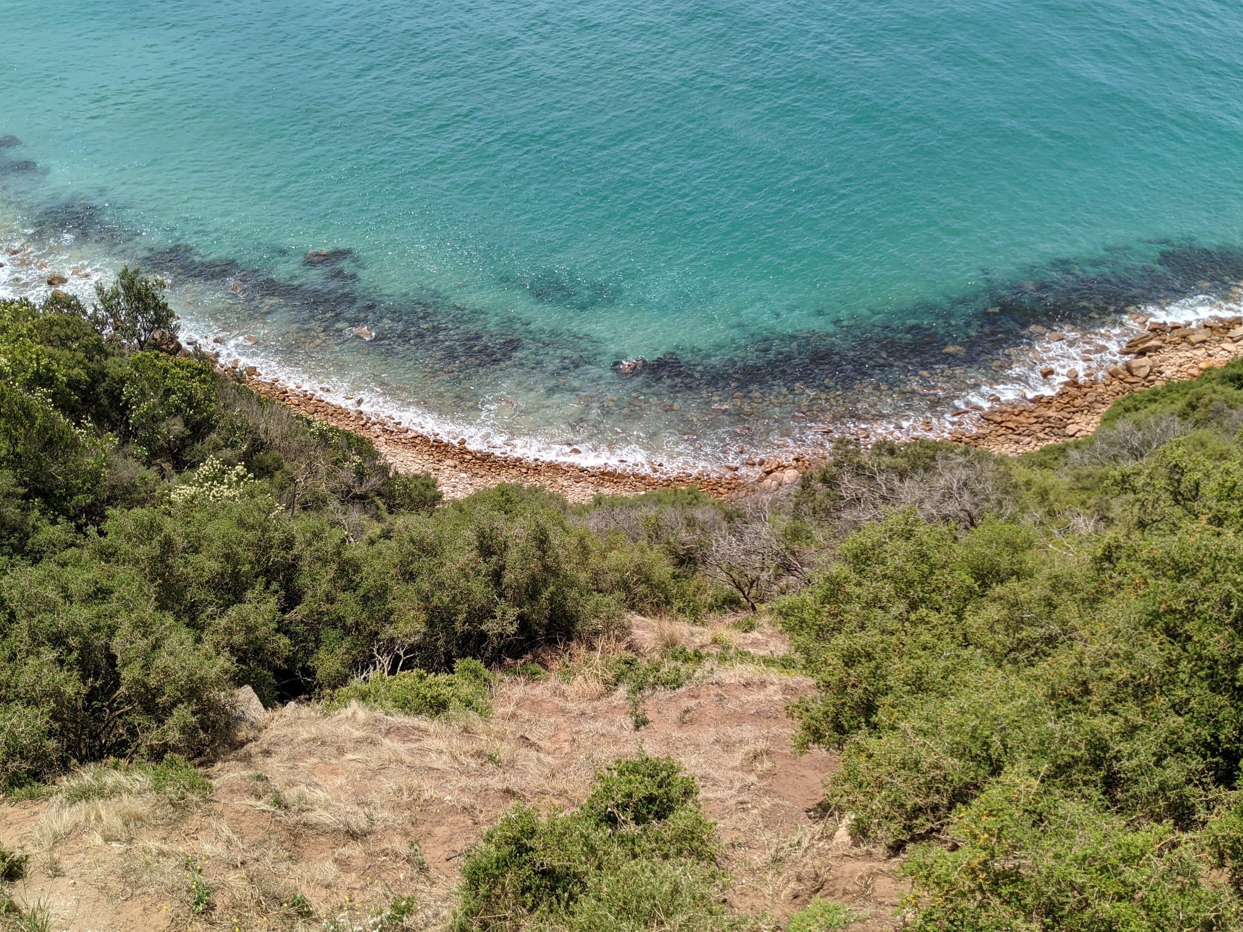 The Natural Health & Wellness Clinic