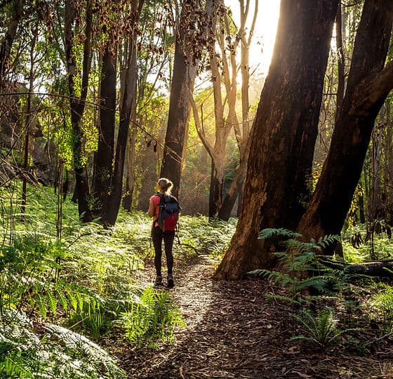 Reconnect with Nature Retreat