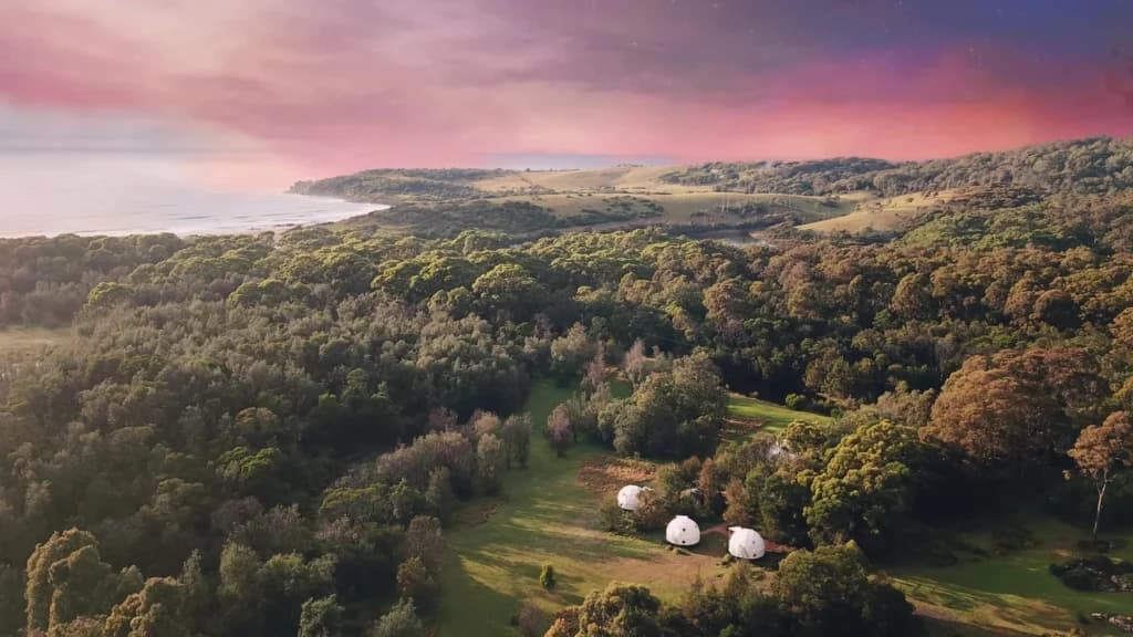 INVERSIONS & ARMBALANCES FOR EVERYONE