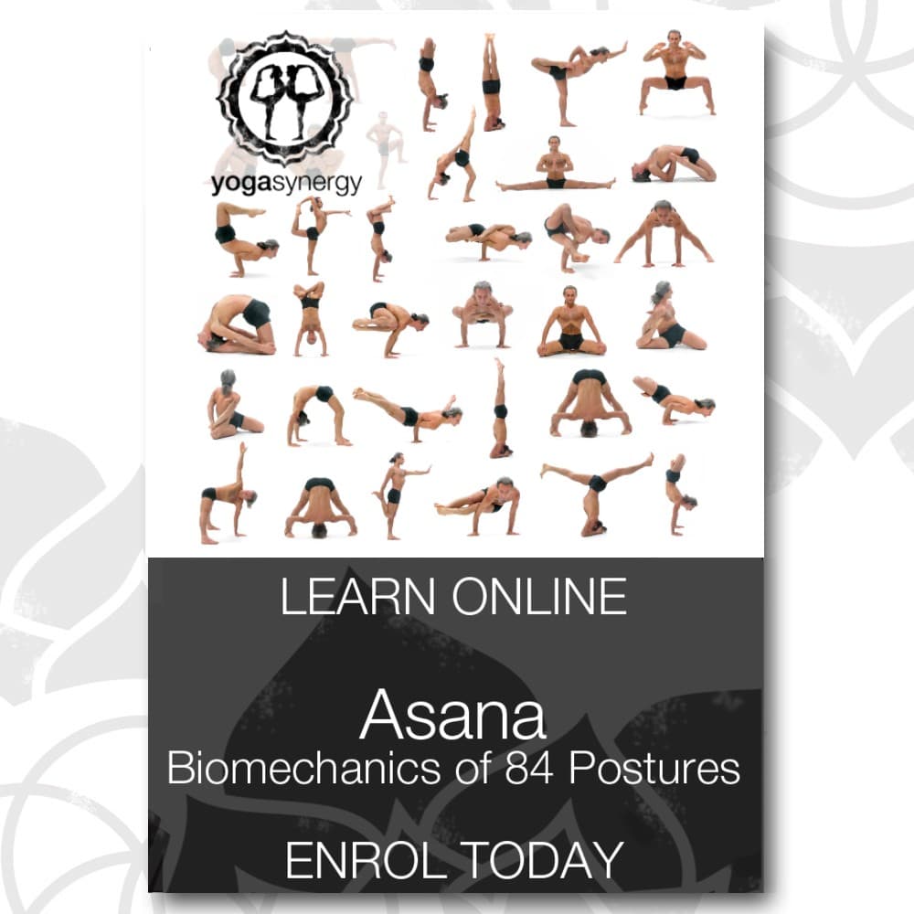 Asana Biomechanics - 84 Postures Online Course