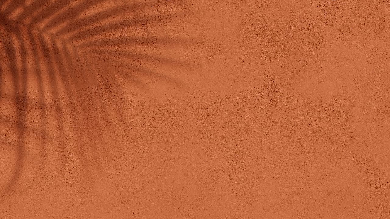 Mita Yoga and Meditation Online Program