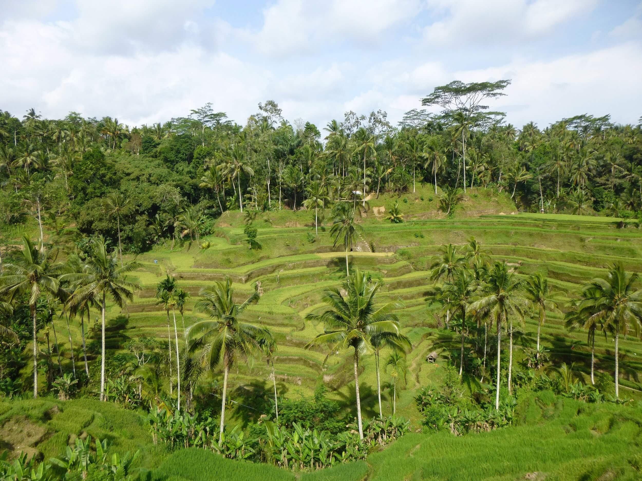 Me-Time. My Way. Wellness Retreat in Bali