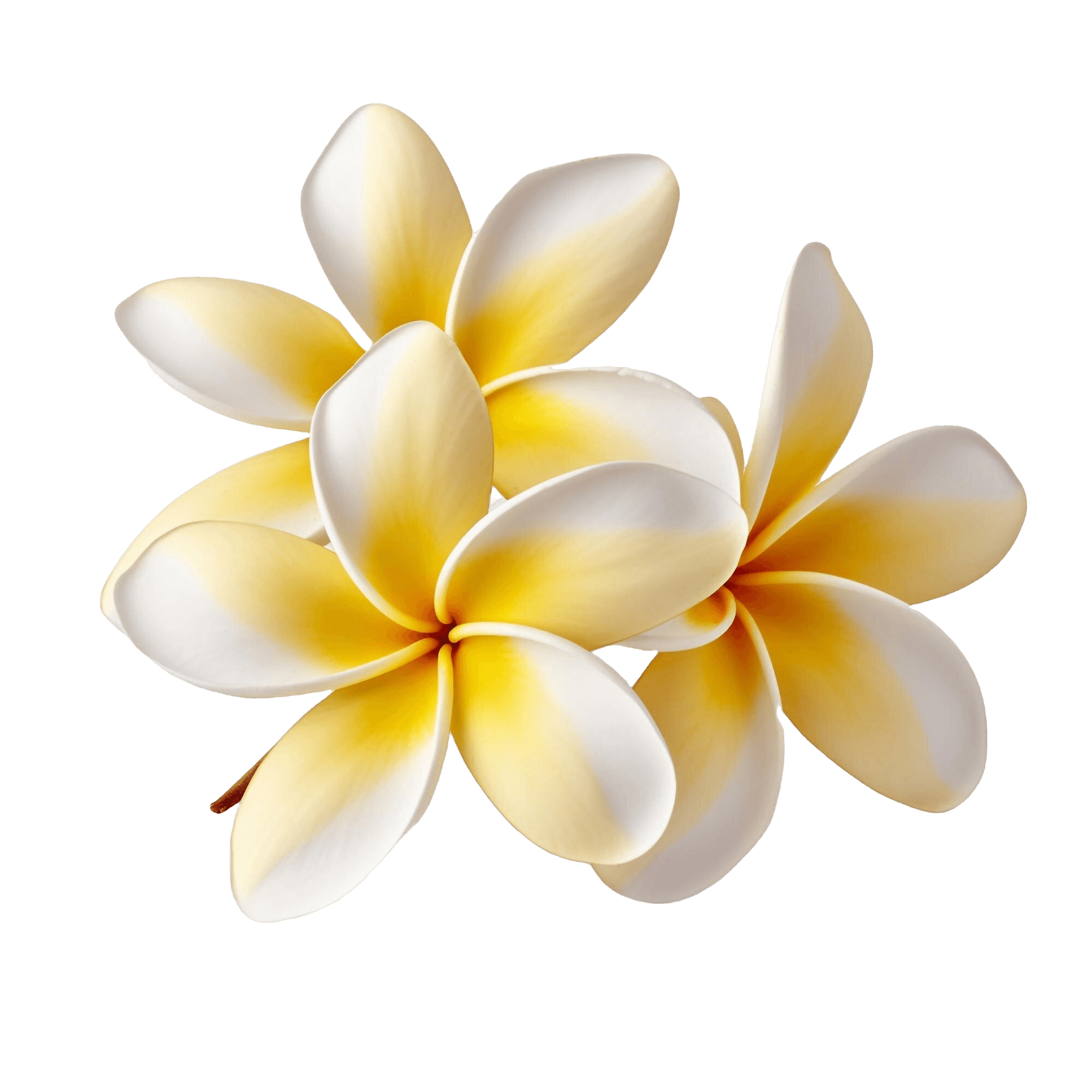 RA Weekend Retreat - Barcelona