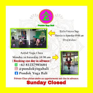 Hatha Vinyasa Yoga Classes