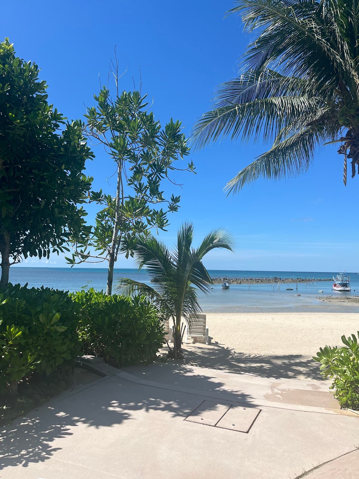 Soul Yoga & Retreats