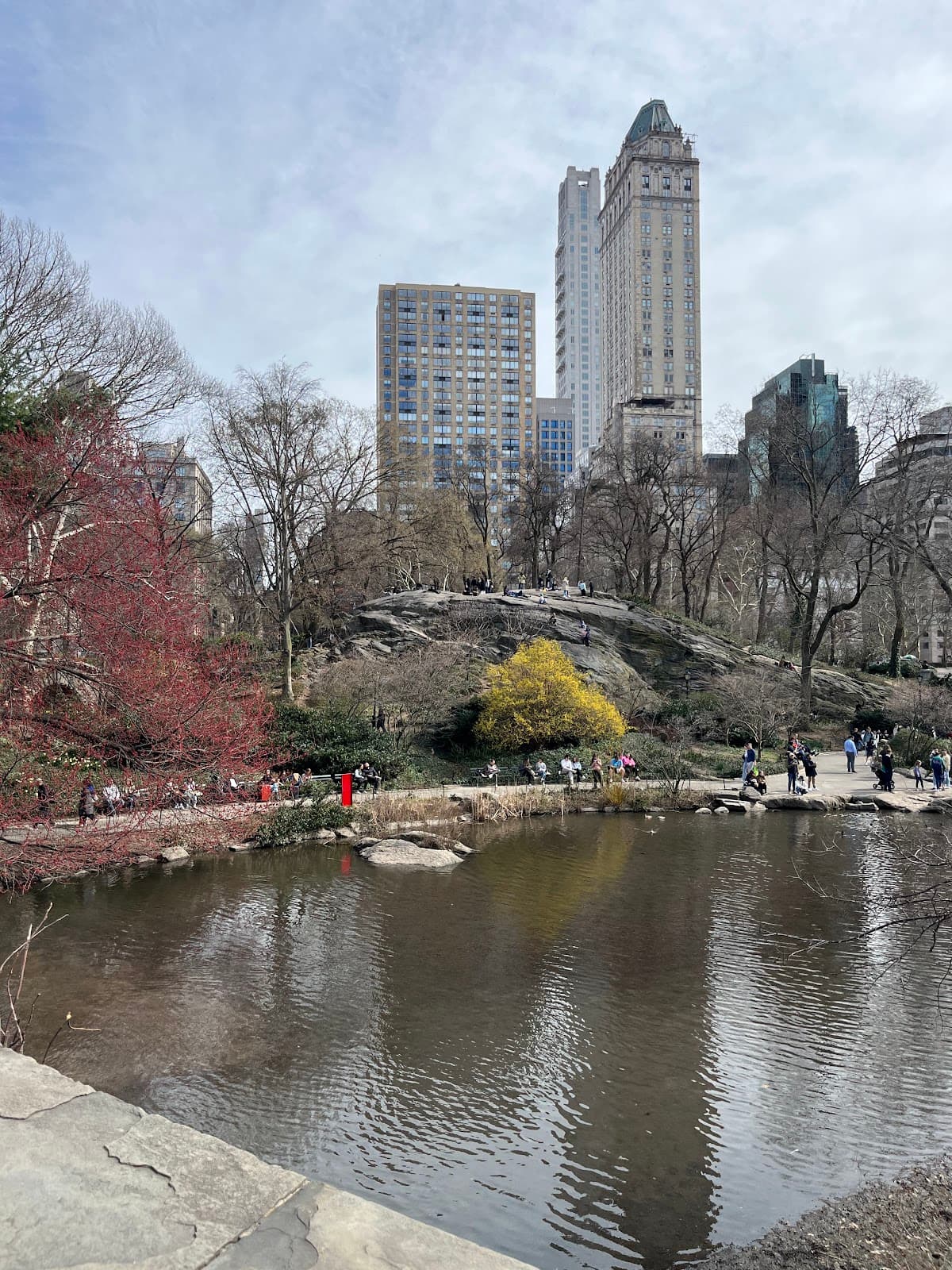 Briarwood Wellness Center 1