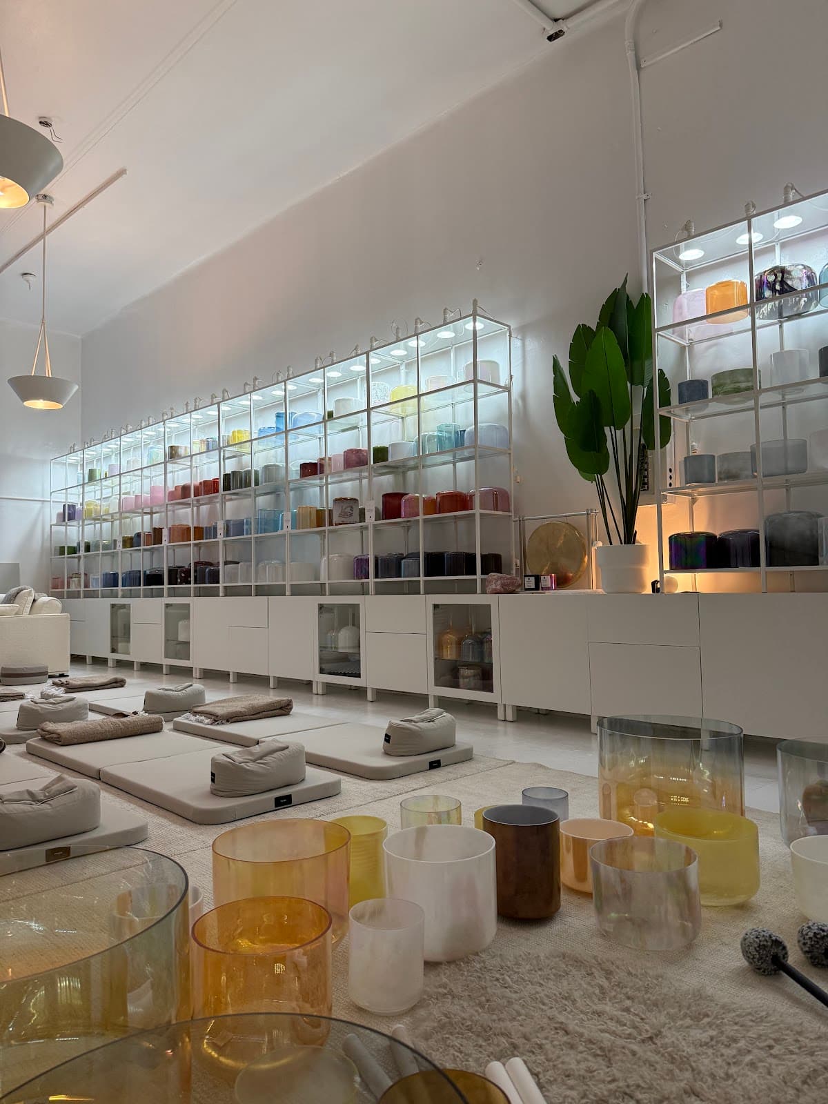 Buffalo Firefly Wellness