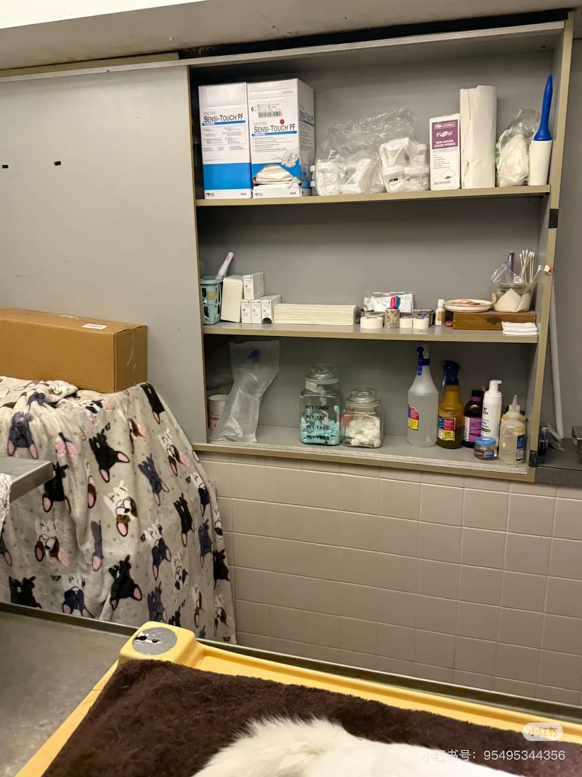 Happy Tails Wellness