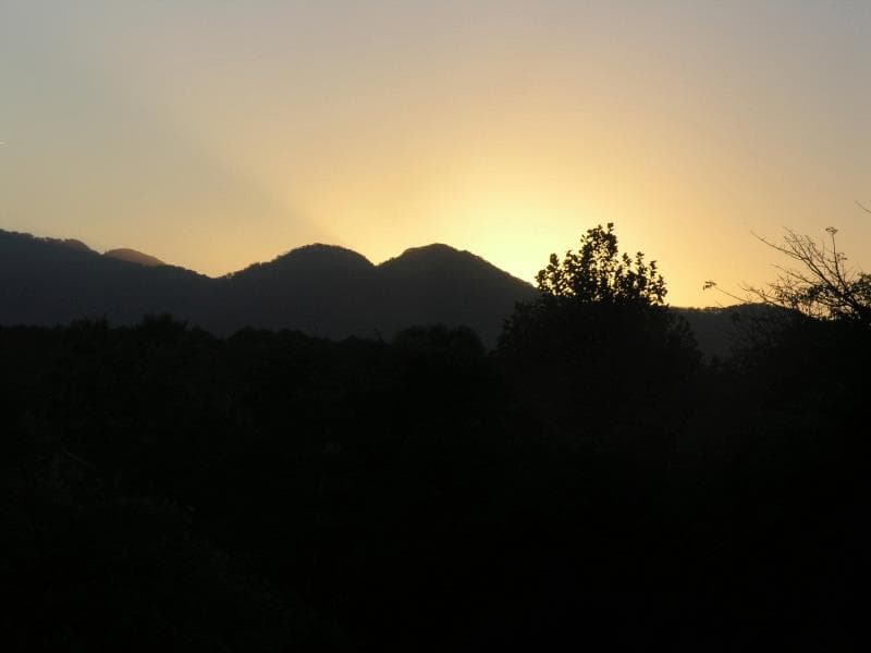 Natural Balance Yoga