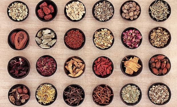 AcuHolistics Chinese Medicine logo