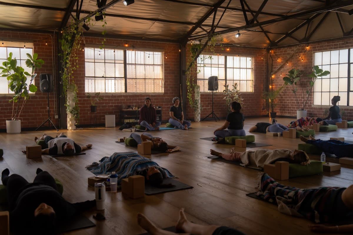 The Tree Yoga Cooperative