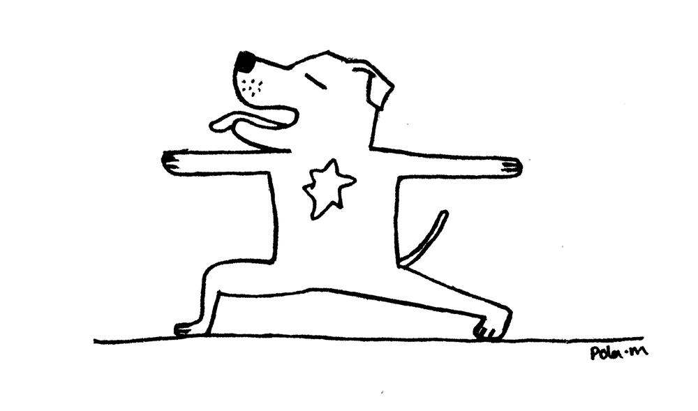 The Yoga Factory Annandale