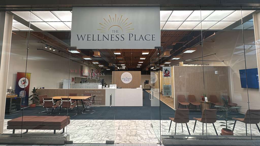 The Wellness Place logo