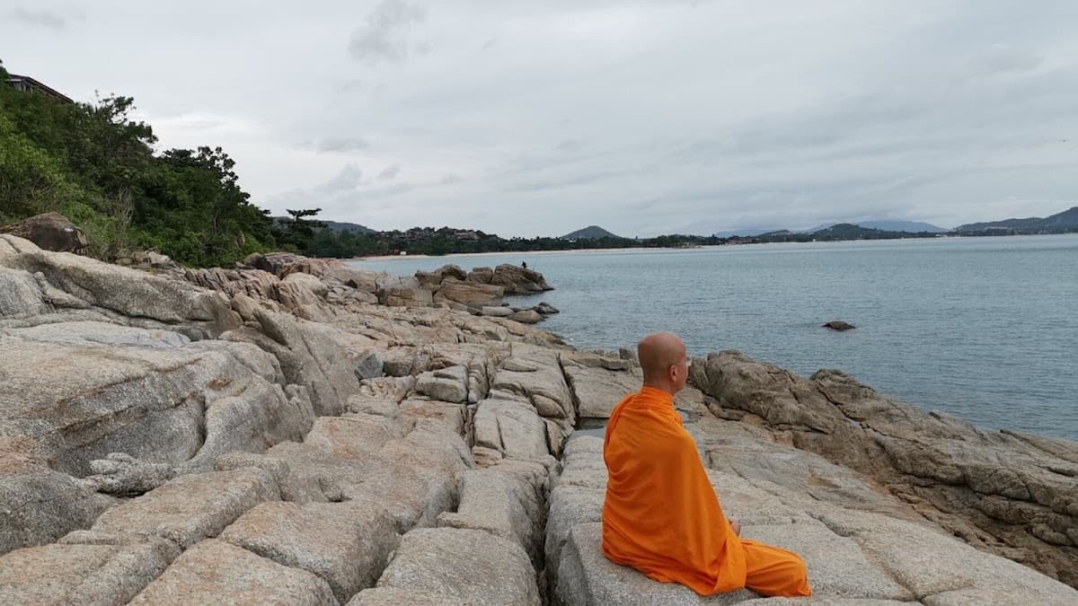 Samui international meditation center logo