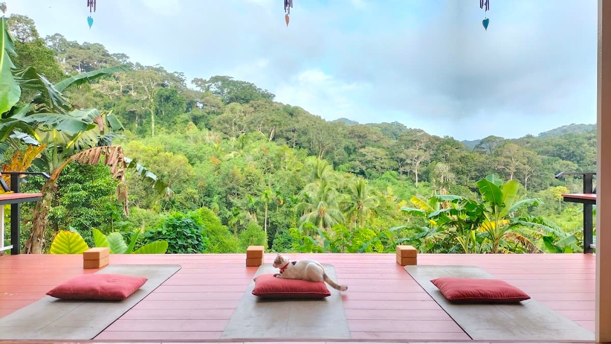 Hari Om Yoga Koh Phangan