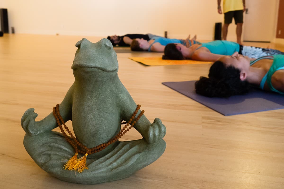Laughing Frog Yoga logo