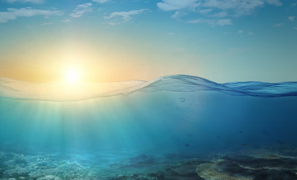 Centre for Mind Body Wellness 1