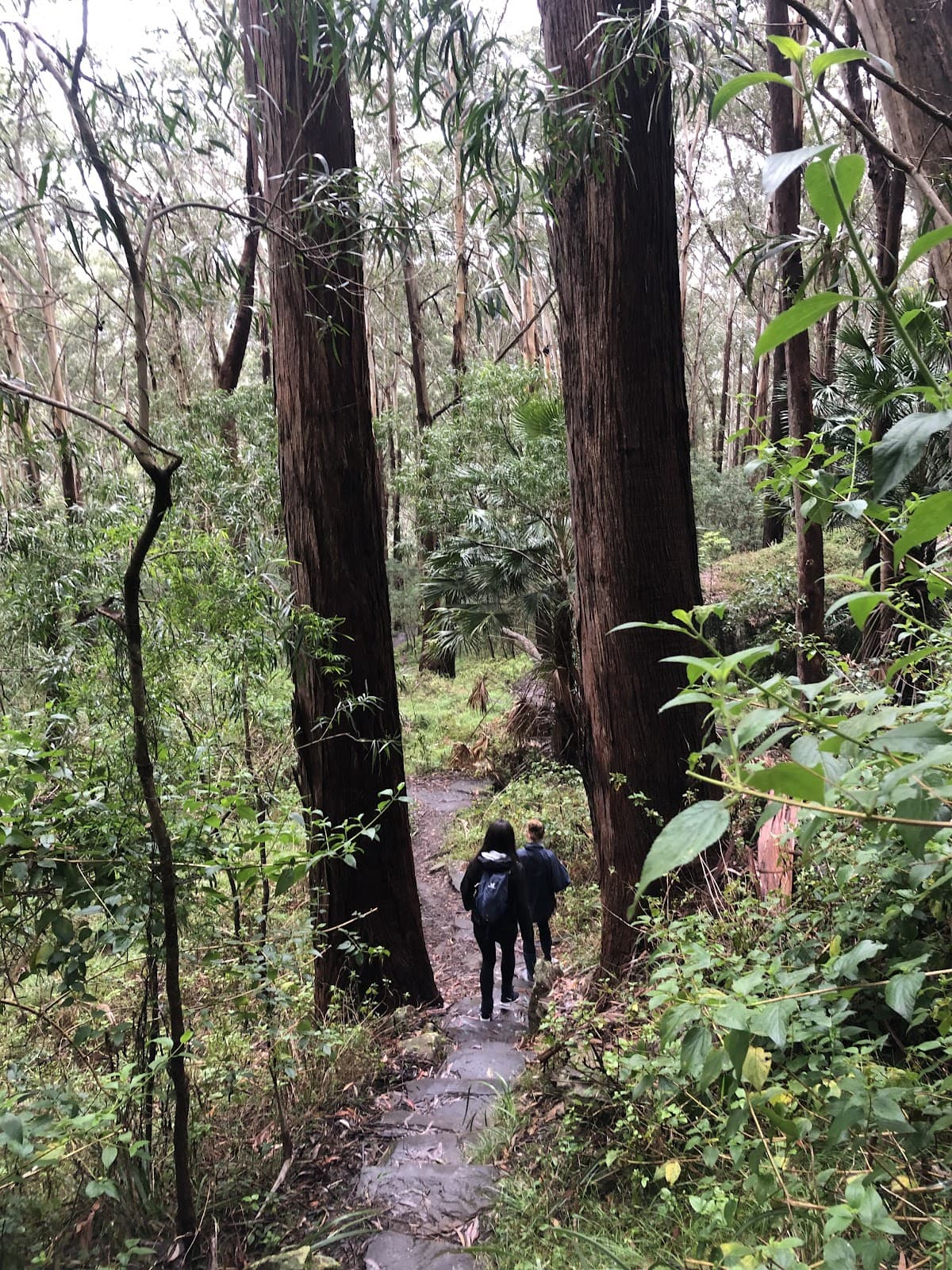 Inner Wisdom Kinesiology | Holistic Therapist | Thirroul - Wollongong