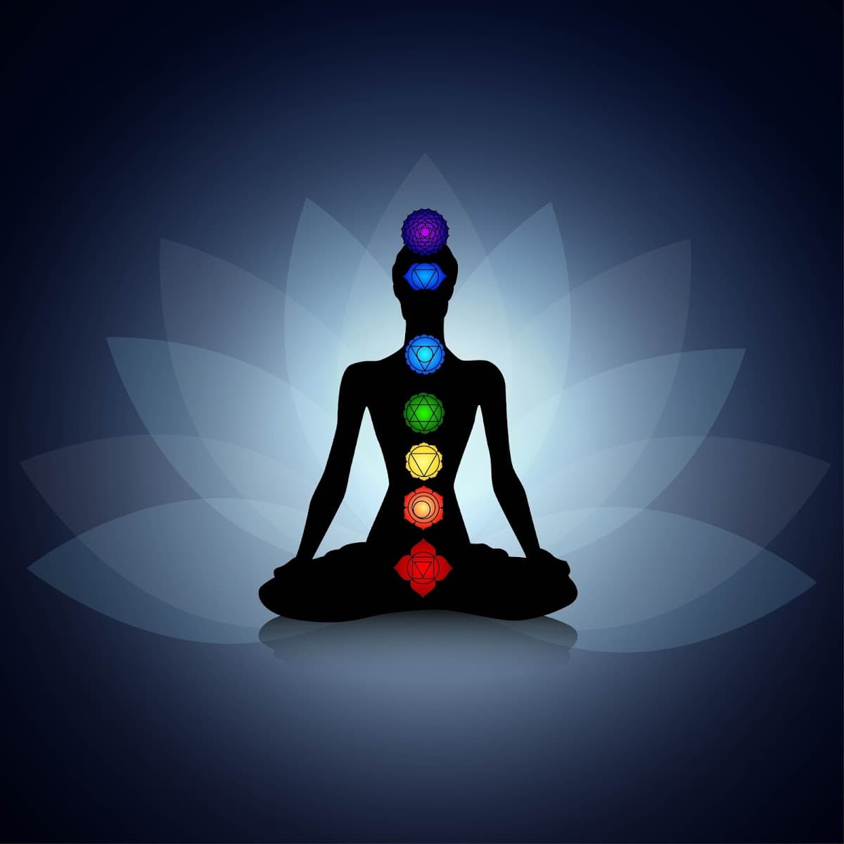 YPV energy healing Centre Mysore (Mysore Yoga Prana Vidya Trust) logo
