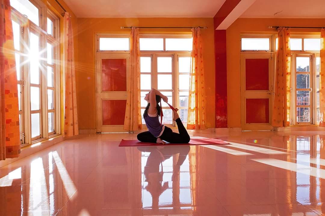 Kailash Tribal School of Yoga & Holistic Healing logo