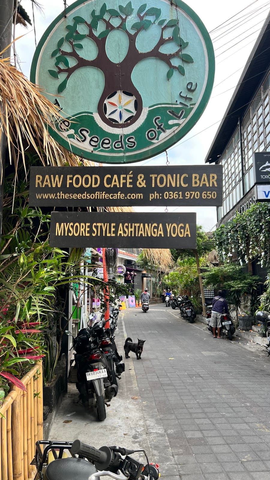 Spacious Yoga - Mysore Style Ashtanga