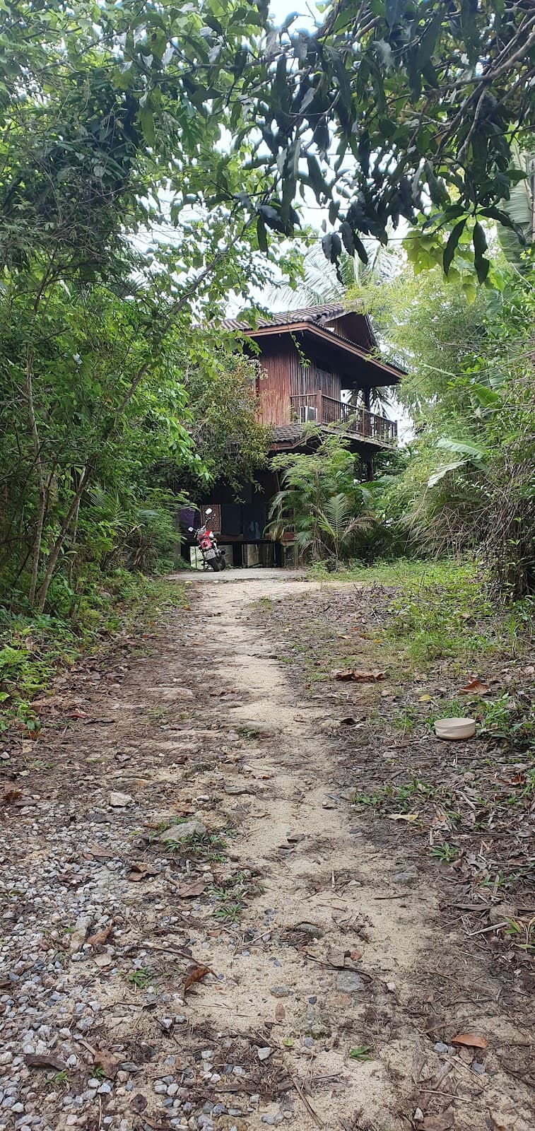 Jangalika, House of Ashtanga Yoga