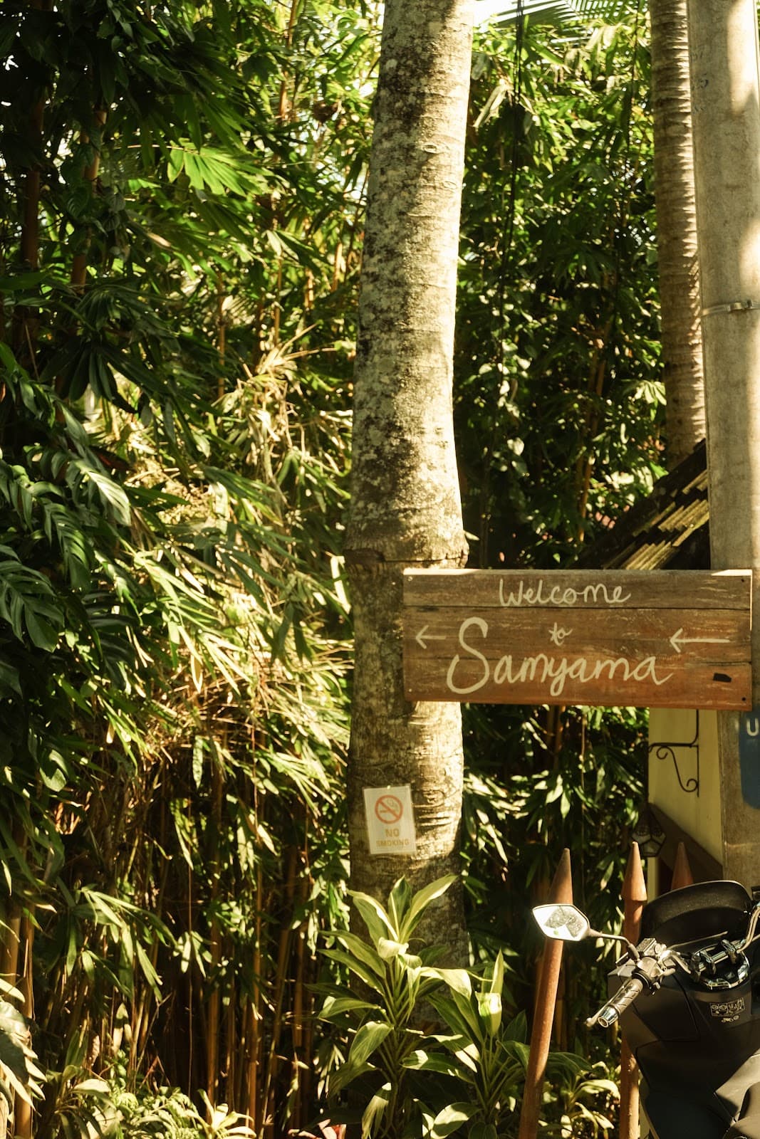 Samyama Self-Healing Center | Yoga & Meditation in Ubud, Bali