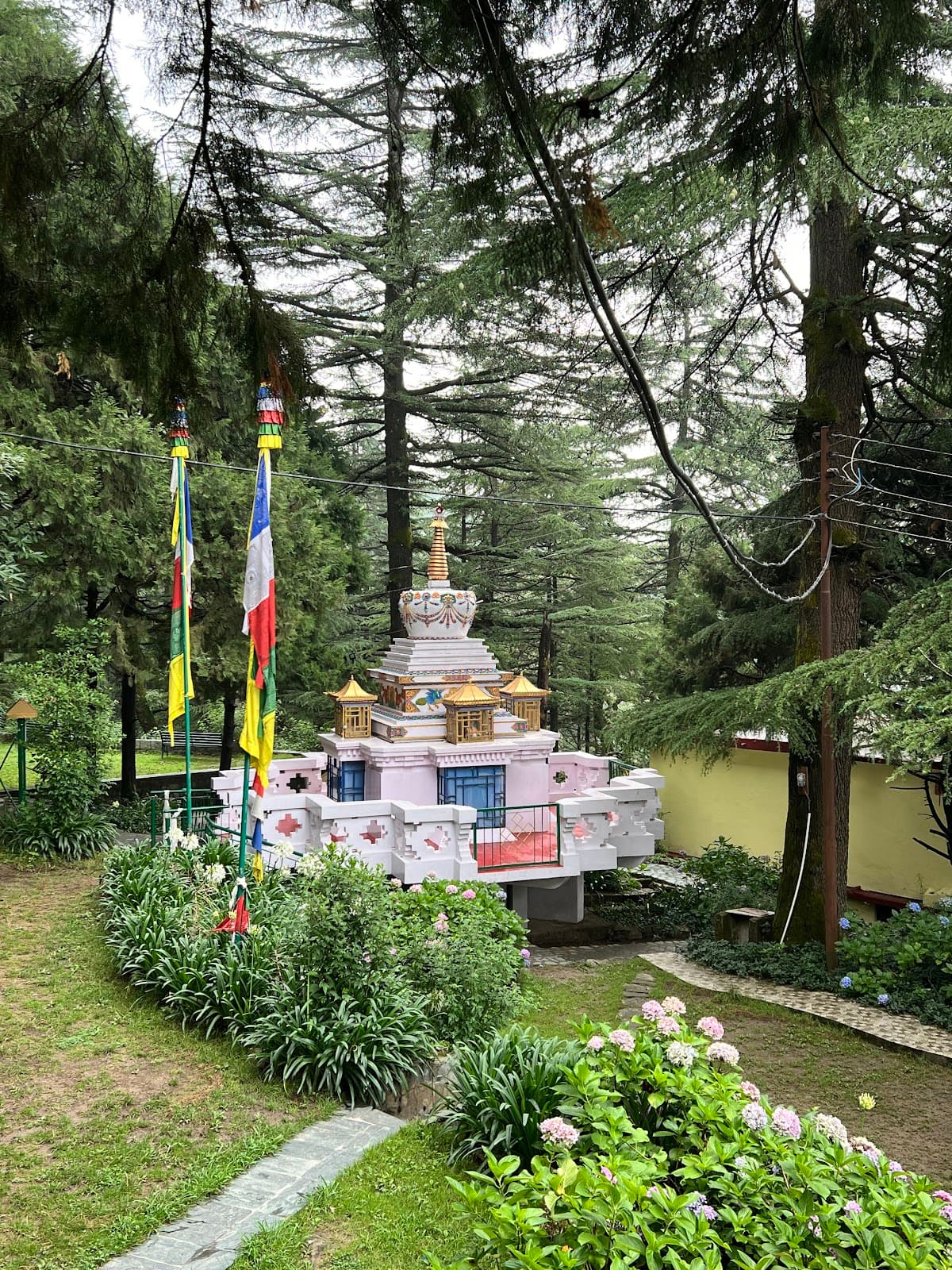 Tushita Meditation Centre