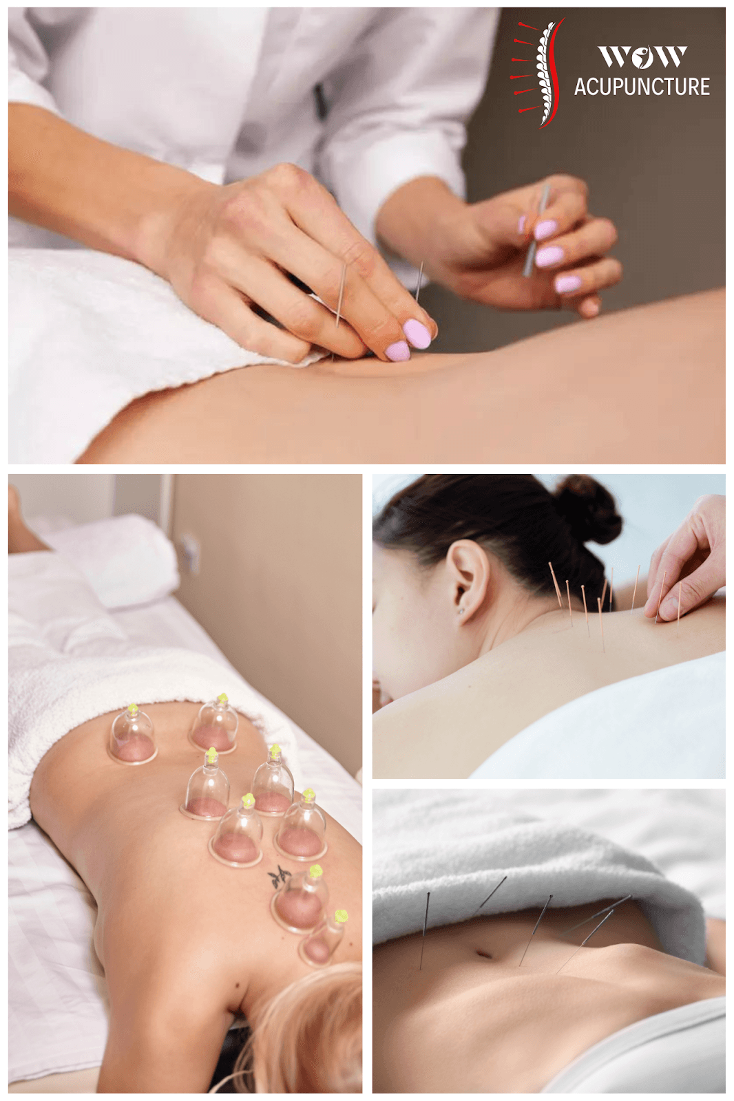 Wellness of Wall Street Physical Therapy logo