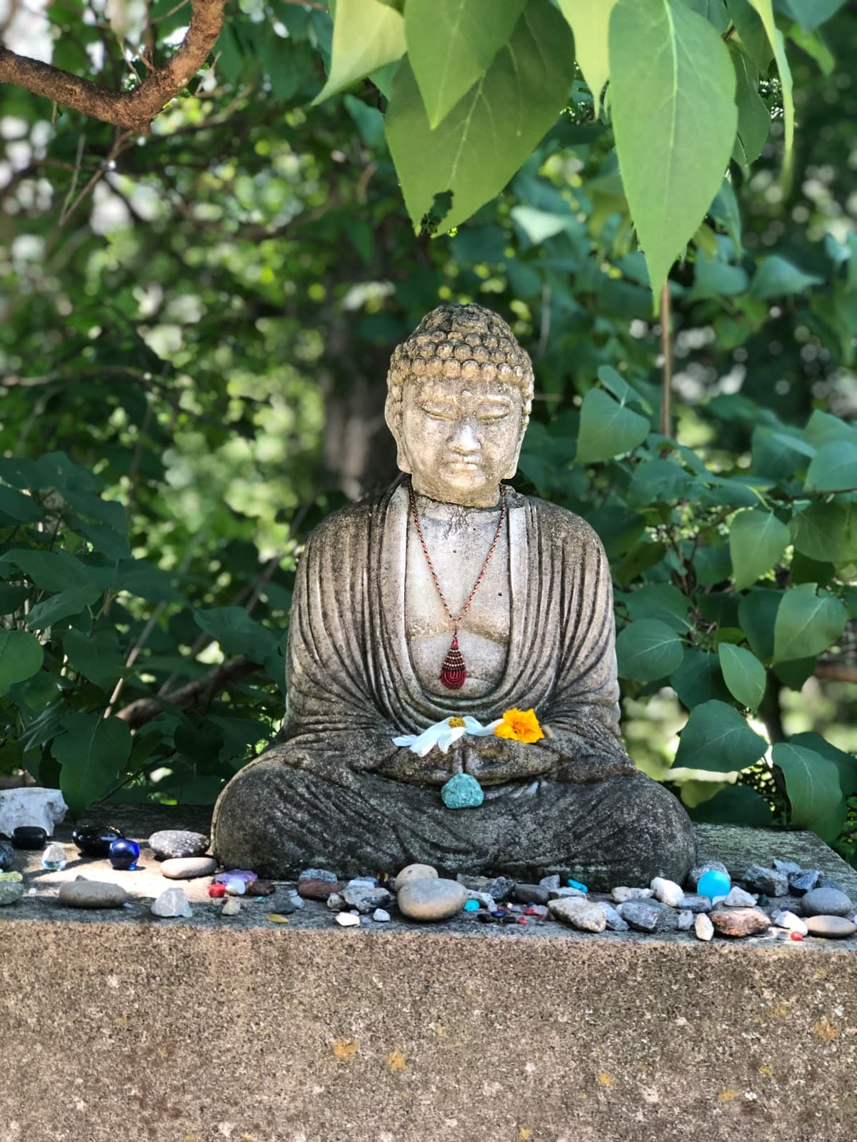 Hela Wellness Collective logo