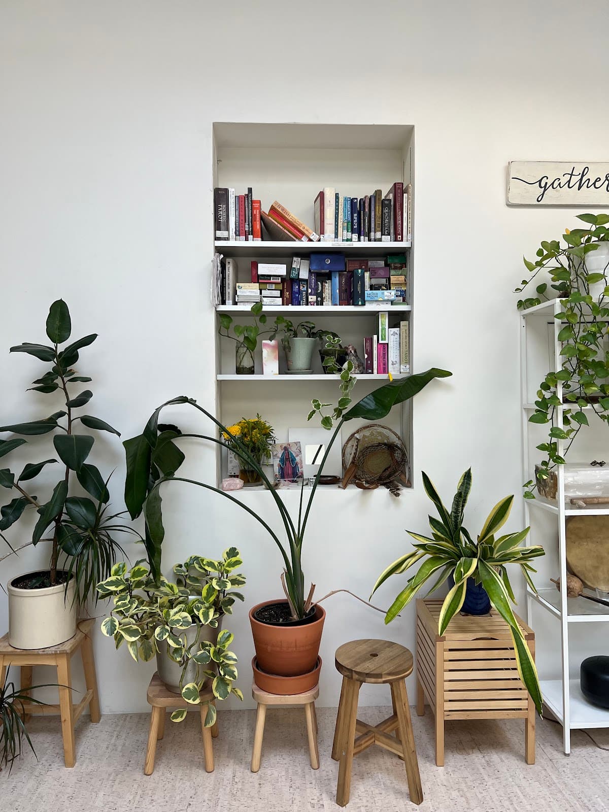 Reiki & Holistic Mind, Body Spirit Healing | Chelsea Ahmed