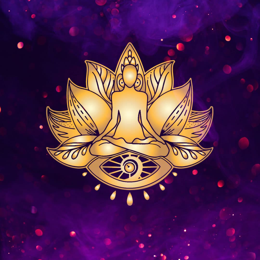 Insight Yoga and Meditation