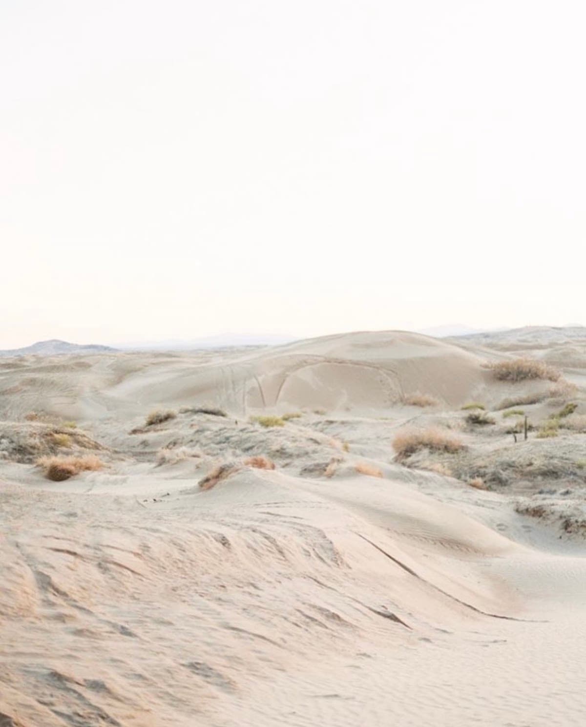 Skin and Wellness Haus