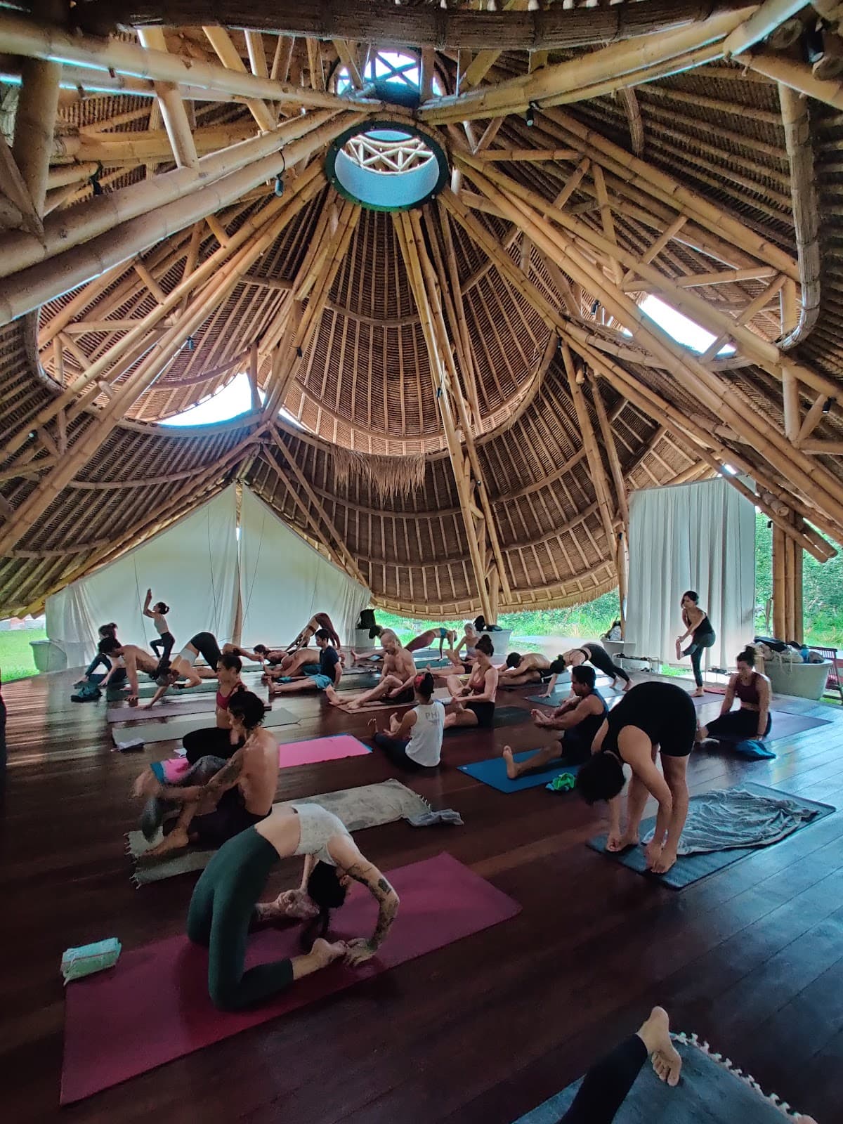 Spacious Yoga - Mysore Style Ashtanga