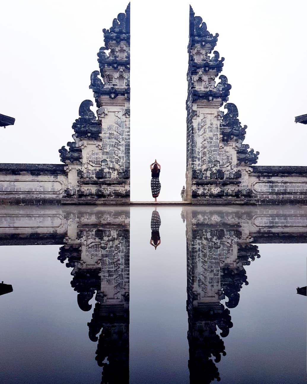 Wild Holistic Mental Health Supports