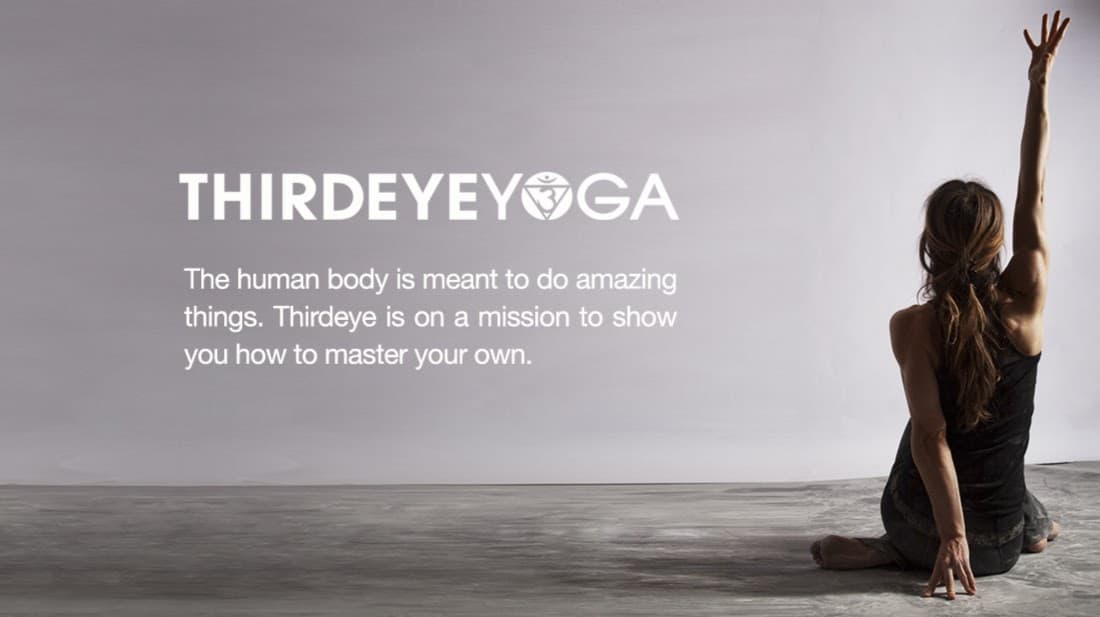 ThirdEye Somatic Yoga Therapy logo