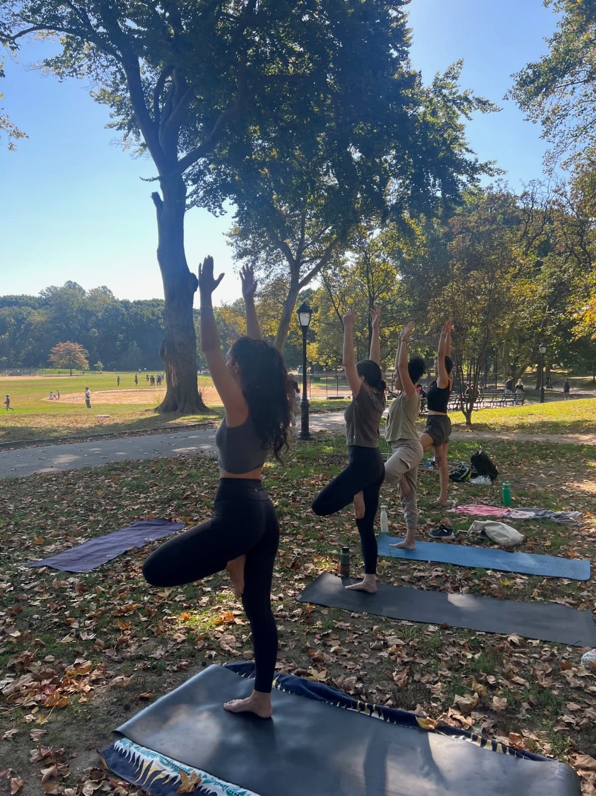 Prospect Park Yoga - Grand Army Plaza