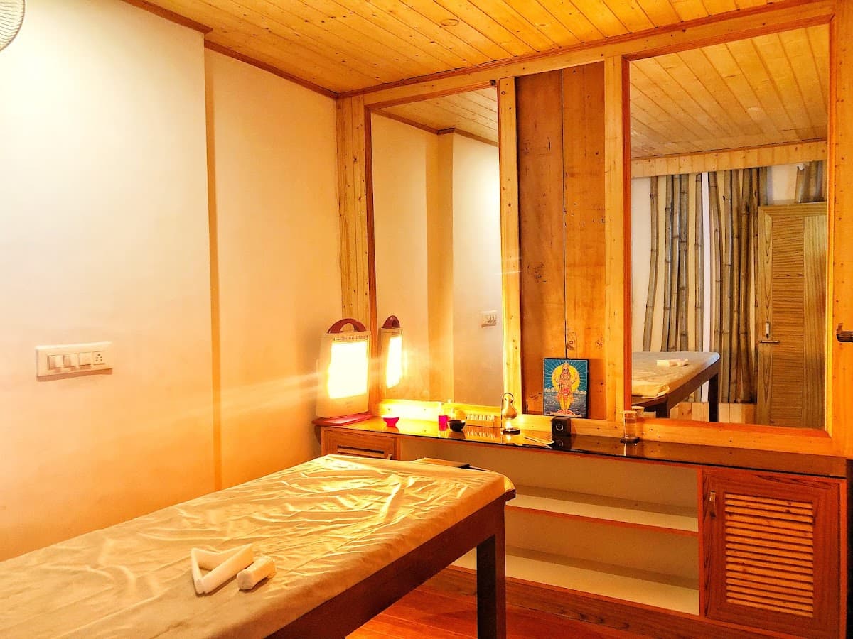 HEALING TAVAS Ayurvedic Wellness Center & Spa